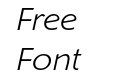ShinnRR Light Italic ShinnRR Light Italic