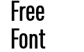 Slimfact Pro Bold Slimfact Pro Bold