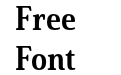 Solitas Serif Cond Bold Solitas Serif Cond Bold