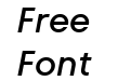 TT Fors Trial Medium Italic TT Fors Trial Medium Italic