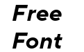 TT Norms Pro Bold Italic(1) TT Norms Pro Bold Italic(1)
