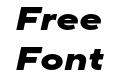 TT Norms Pro Expanded ExtraBold Italic TT Norms Pro Expanded ExtraBold Italic