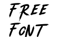 Tanisher Italic Tanisher Italic