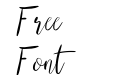 The Right Attitude Regular The Right Attitude Regular