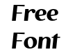 The Voyager Bold Italic The Voyager Bold Italic