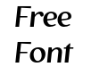 The Voyager Italic The Voyager Italic