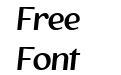 The Voyager Italic The Voyager Italic