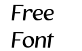 The Voyager Light Italic The Voyager Light Italic