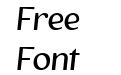The Voyager Light Italic The Voyager Light Italic