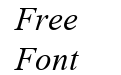 Times New Roman Italique Times New Roman Italique