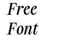 Timez Trial Casual Book Italic Timez Trial Casual Book Italic