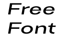 Trivia Gothic X3 Exp Italic Trivia Gothic X3 Exp Italic