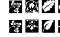 Typo Jewels Squares Invers Typo Jewels Squares Invers