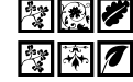 Typo Jewels Squares Typo Jewels Squares