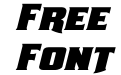 Union Gray Expanded Italic Union Gray Expanded Italic
