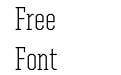 United Serif Cond Light United Serif Cond Light
