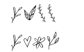 Unnamed clarisha flowers Unnamed clarisha flowers