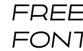 Uomo Expanded Italic Uomo Expanded Italic
