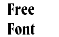 WayfinderCF Bold WayfinderCF Bold