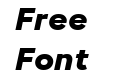 neue Radial B Black Italic neue Radial B Black Italic