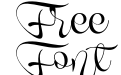 Novety Script PERSONAL USE ONLY Regular