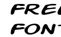 Action Man Extended Italic Action Man Extended Italic