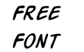 Action Man Italic Action Man Italic
