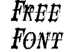 SpaceIveyCondensedItalicSWFTE