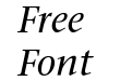 StoneSerifMediumItalic