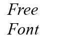 Times New Roman Mon Italic