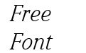 WeidemannITCbyBT-BookItalic