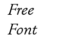 WinchesterNewITCStd-BookItalic