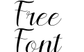 lesley lovely Italic