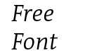 Acuta Thin Italic