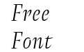 Amster Thin Italic