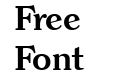 Clarity Serif SF Bold