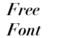 DidotLT Pro Bold Italic