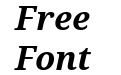 Droid Serif Bold Italic