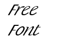 FZ BASIC 15 ITALIC