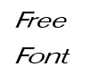 FZ BASIC 22 ITALIC