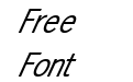 FZ BASIC 24 ITALIC