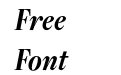 Freight Disp Cmp Pro Bold Italic