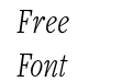 Freight Text Cmp Pro Light Italic