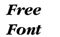 Garamond Bold Italic