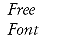 Garamond CG Italic