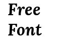 Lora Bold Italic