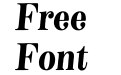 Neato Serif Italic