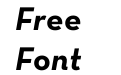 Neutra Text Bold Italic Alt