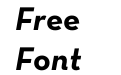 Neutra Text Bold Italic