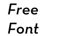 Neutra Text Demi Italic Alt